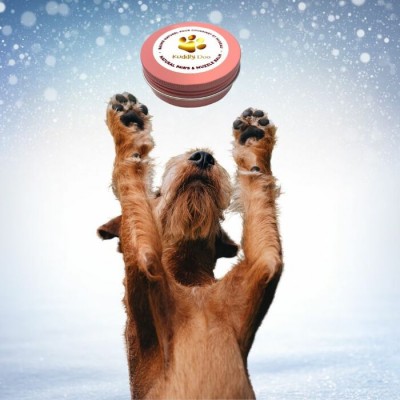 Baume pour pattes et museau pour chien - 60 g - Kuddly Doo