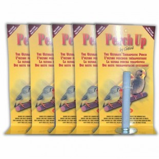 Lot de 5 perchoirs en ciment rainuré - 12 mm x...