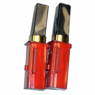Brosses de carbone pour Master Blaster - x 2
