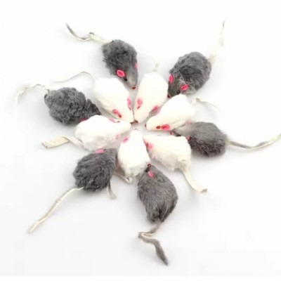 Souris fourrure 6