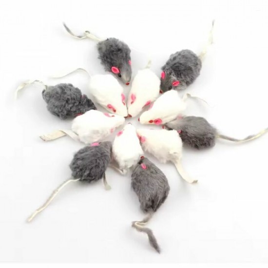 Souris fourrure 6