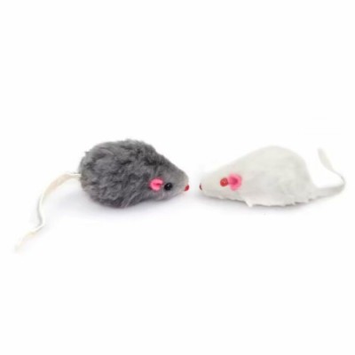 Souris fourrure 6