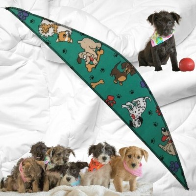 Foulard petit 20"