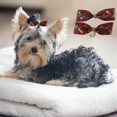 Petites boucles pour chien - sac de 6 paires