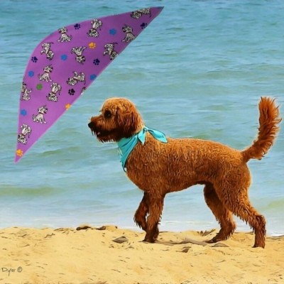 Foulard Grand 26"