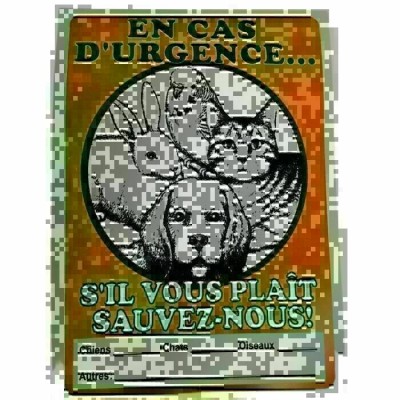 Affiche pour animal 