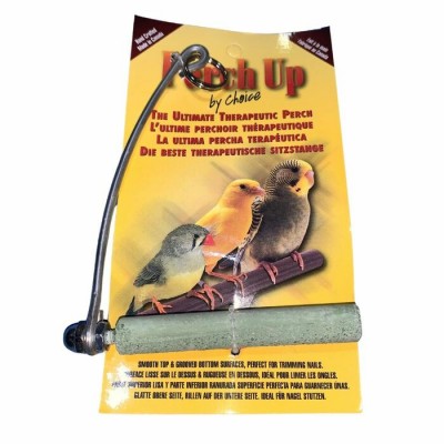 Balançoire en ciment  - 12 mm x 7½ cm (½" x 3") - PERCH UP - Couleurs variées