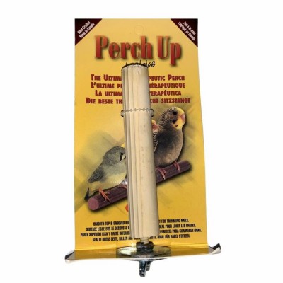 Perchoir en ciment rainuré - 18 mm x 10 cm (¾" x 4") - PERCH UP - Couleurs variées