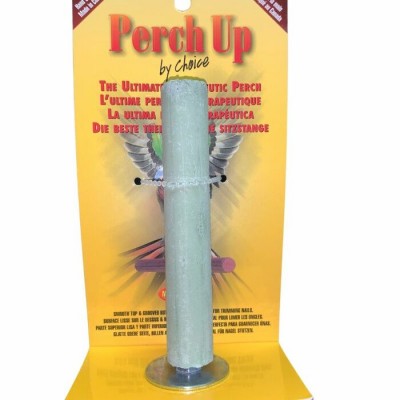 Perchoir en ciment - 18 mm x 10 cm (¾