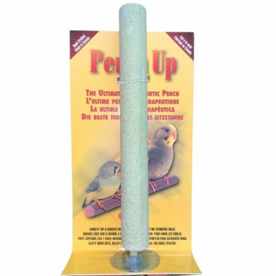 Perchoir en ciment - 18 mm x 15 cm (¾" x 6") - PERCH UP - Couleurs variées