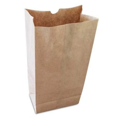 Sacs en papier brun - 10 livres / 500 sacs