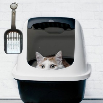 Pelle à litière argent avec tête de chat - 28 cm x 13 cm (11" x 5,1")