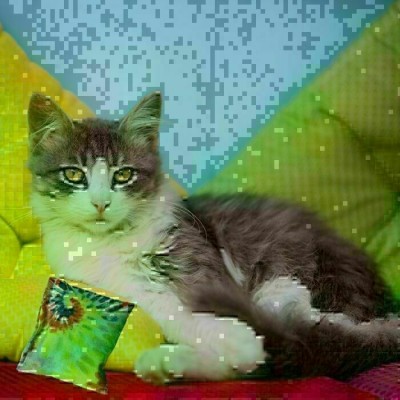 Coussin d'herbe à chat - sac de 12