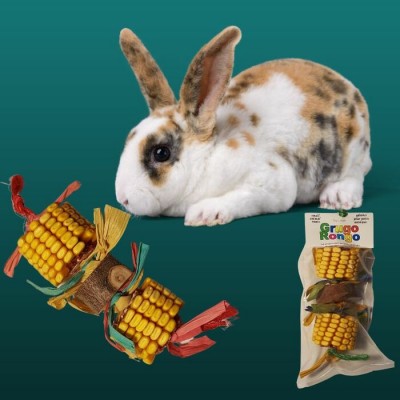 Jouet pour lapins et rongeurs ‘’Grugo Rongo’’ 