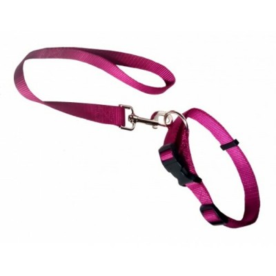 Collier à anneau - 1'' - Choix de couleurs
