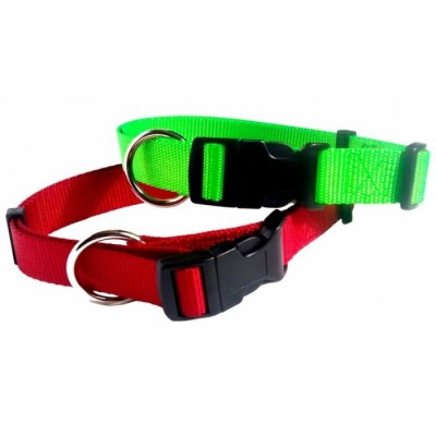 Collier à anneau - 1'' - Choix de couleurs