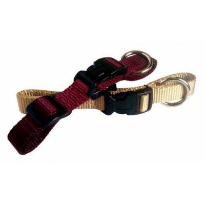 Collier à anneau - ¾'' - Choix de couleurs