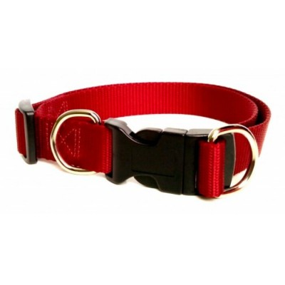 Collier ajustable avec boucle de plastique - 1'' - Choix de couleurs
