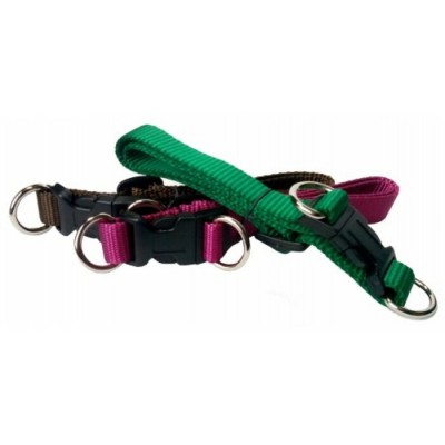 Collier ajustable avec boucle de plastique - ¾''...