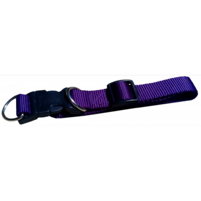 Collier ajustable avec boucle de plastique - ¾'' - Choix de couleurs