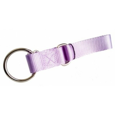 Collier ''Nordic'' ajustable - 1'' X 20" - Choix de couleurs