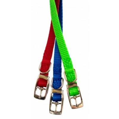 Collier simple avec boucle style ceinture - 3/8'' X 10'' - Choix de couleurs