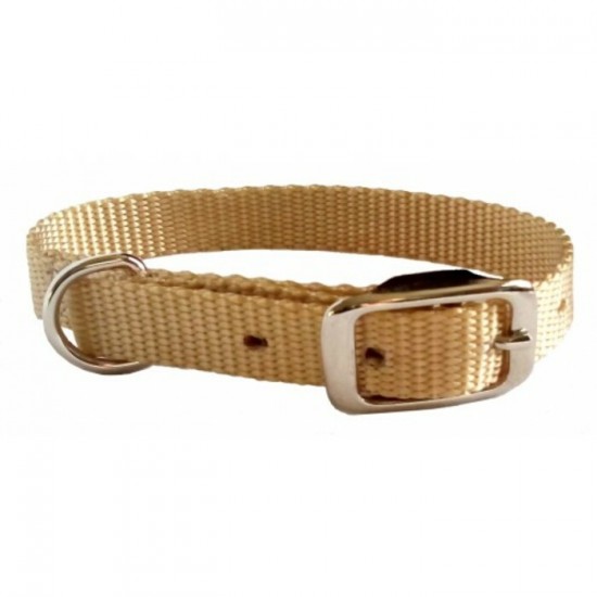 Collier simple avec boucle style ceinture - 3/8''...