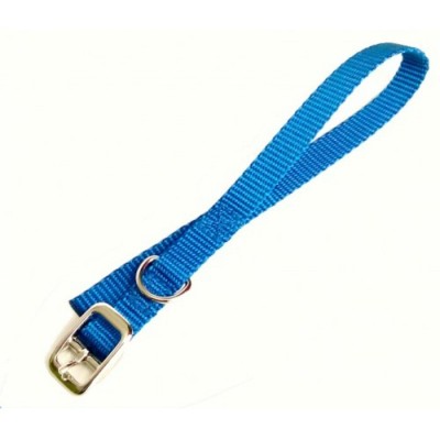 Collier simple avec boucle style ceinture - 5/8'' X 10'' -  Choix de couleurs