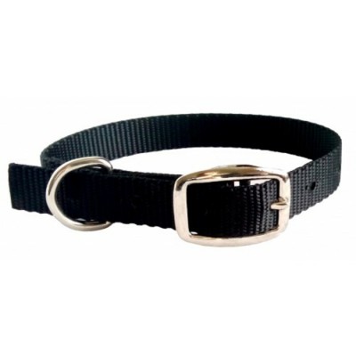 Collier simple avec boucle style ceinture - 5/8'' X 14'' - Choix de couleurs