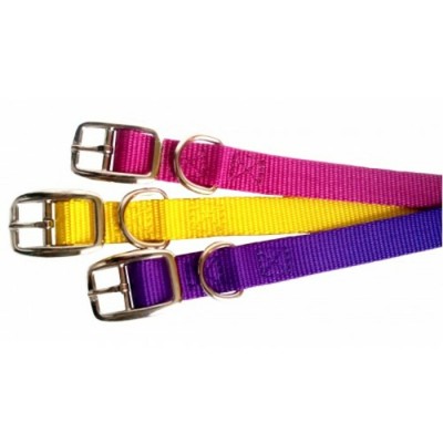 Collier simple avec boucle style ceinture - 5/8'' X 14'' - Choix de couleurs