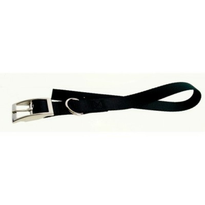 Collier simple avec boucle style ceinture - 1'' X 16'' - Choix de couleurs