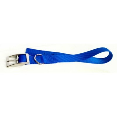 Collier simple avec boucle style ceinture - 1'' X 20'' - Choix de couleurs