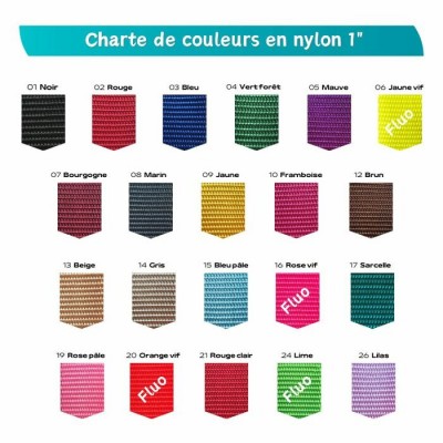 Laisse d'entrainement - 1'' x 72'' - Choix de couleurs