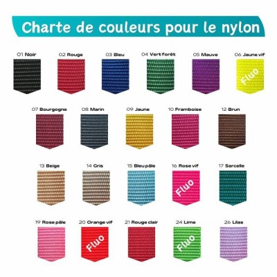 Laisse de rappel - 5/8'' X 20' - Choix de couleurs