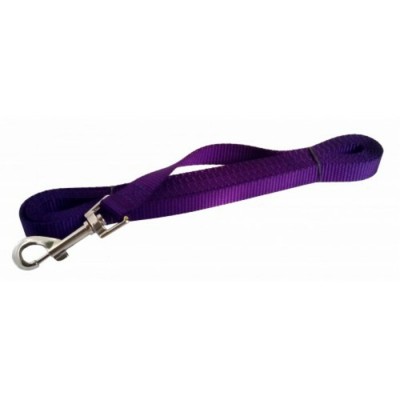 Laisse de rappel - ¾'' X 10' - Choix de couleurs