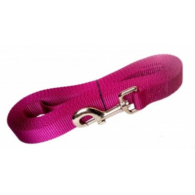 Laisse de rappel - 1'' X 15' - Choix de couleurs