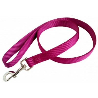Laisse double épaisseur de nylon - 1'' X 48'' -...