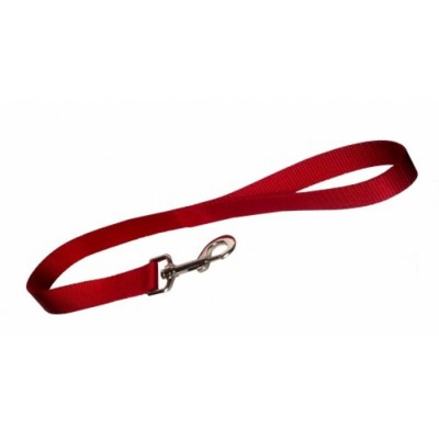 Laisse simple - 1'' X 24'' - Choix de couleurs