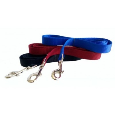 Laisse simple - 1'' X 48'' -  Choix de couleurs