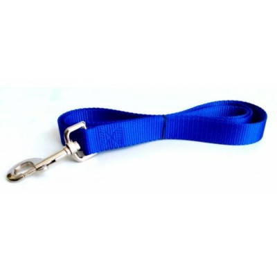 Laisse simple - 1'' X 48'' -  Choix de couleurs