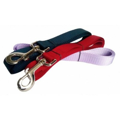 Laisse simple - 1'' X 72'' - Choix de couleurs