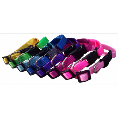 Collier ajustable avec boucle de plastique - 3/8'' - Choix de couleurs
