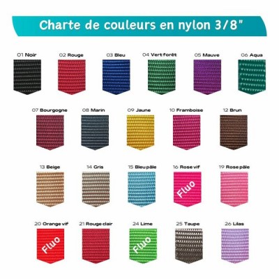 Collier ajustable avec boucle de plastique - 3/8'' - Choix de couleurs