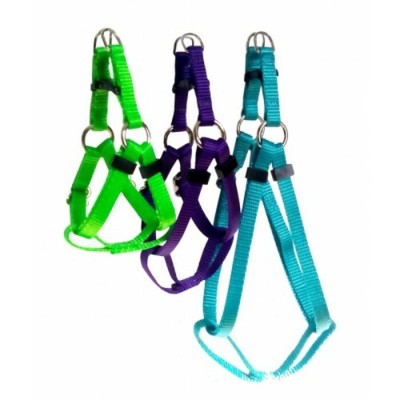 Harnais ''EZ'' - 3/8'' Grand - Choix de couleurs