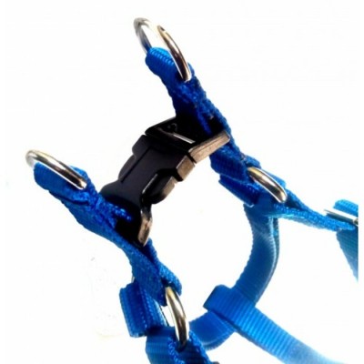Harnais ''EZ'' ajustable - 5/8'' - Choix de couleurs