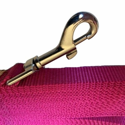 Laisse de rappel - 3/4'' X 50' - Choix de couleurs