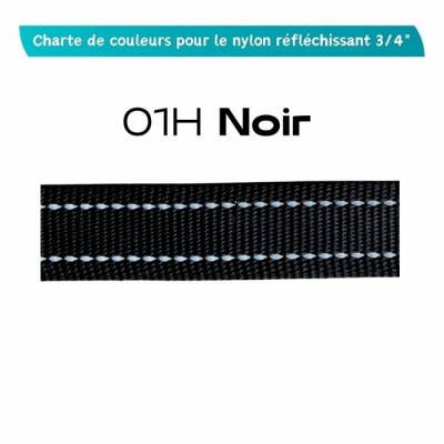 Laisse ajustable - ¾'' X 42" - 72" - Choix de couleurs