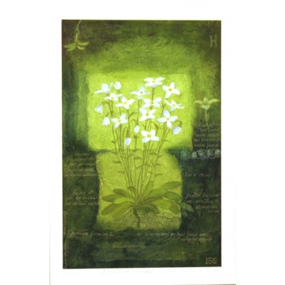 Giclée