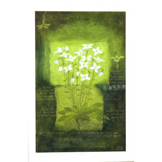 Giclée