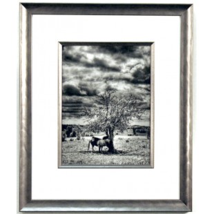 Photographie